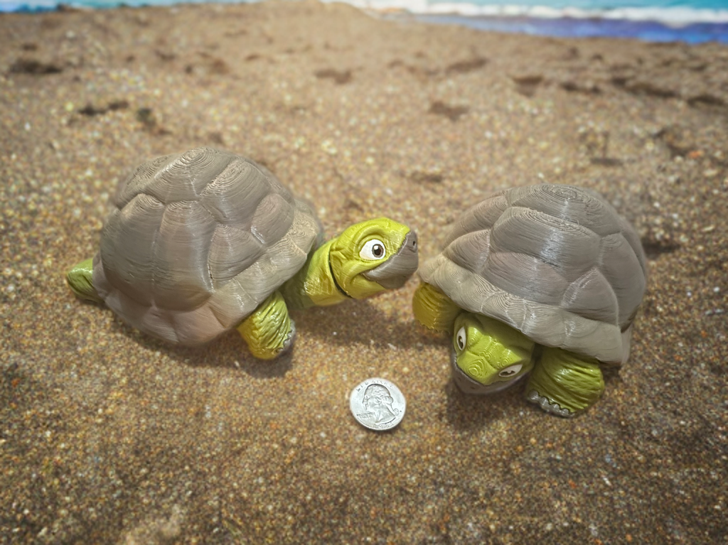 Articulated Tortoise