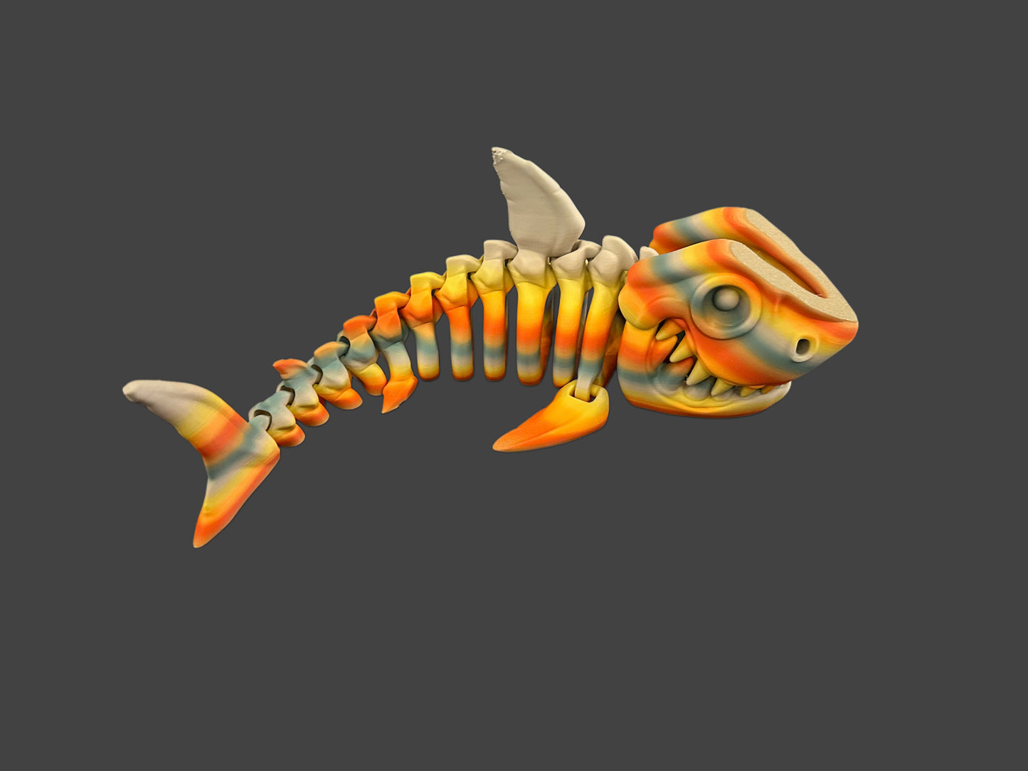 Shark Skeletons
