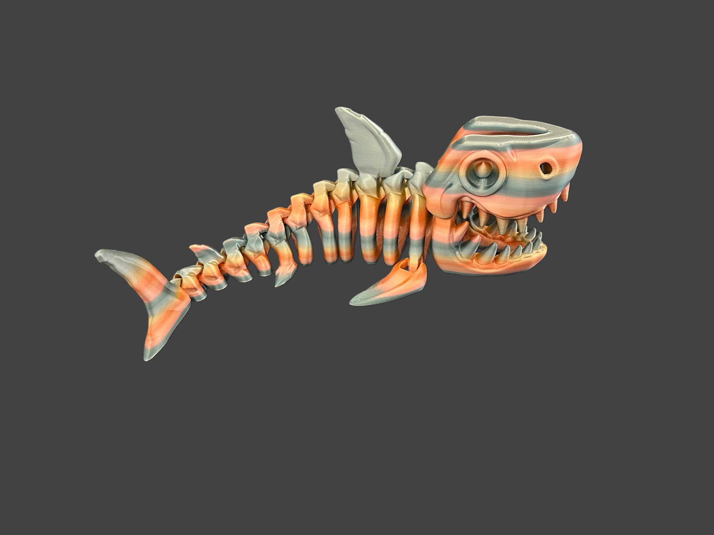 Shark Skeletons
