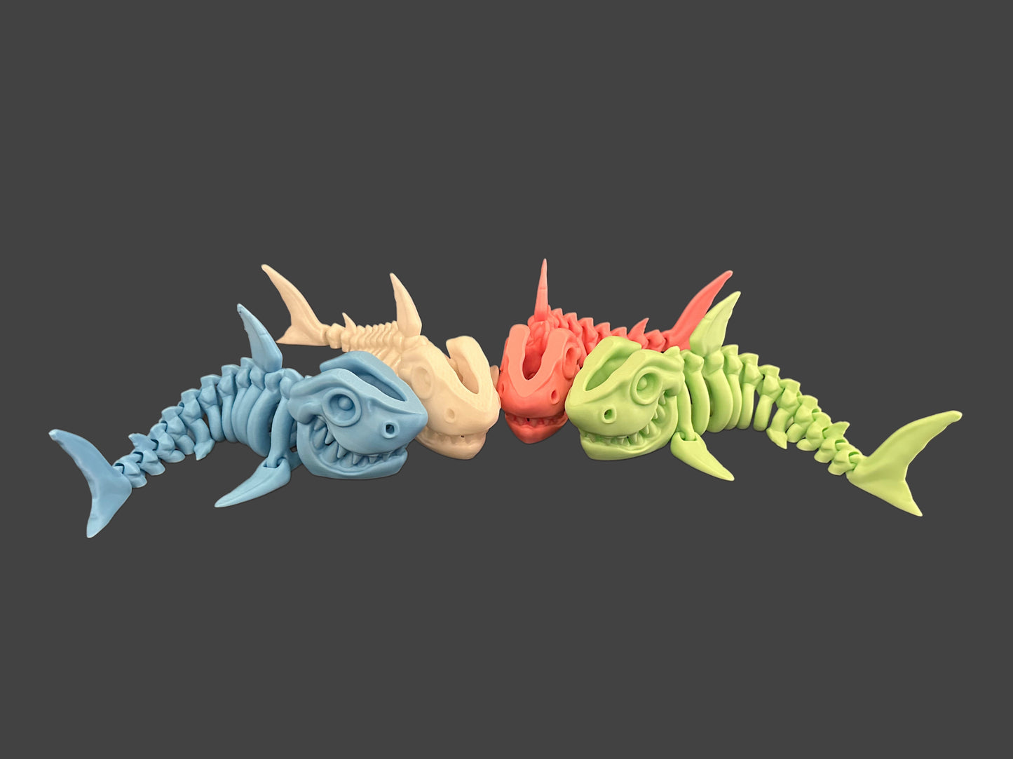 Shark Skeletons