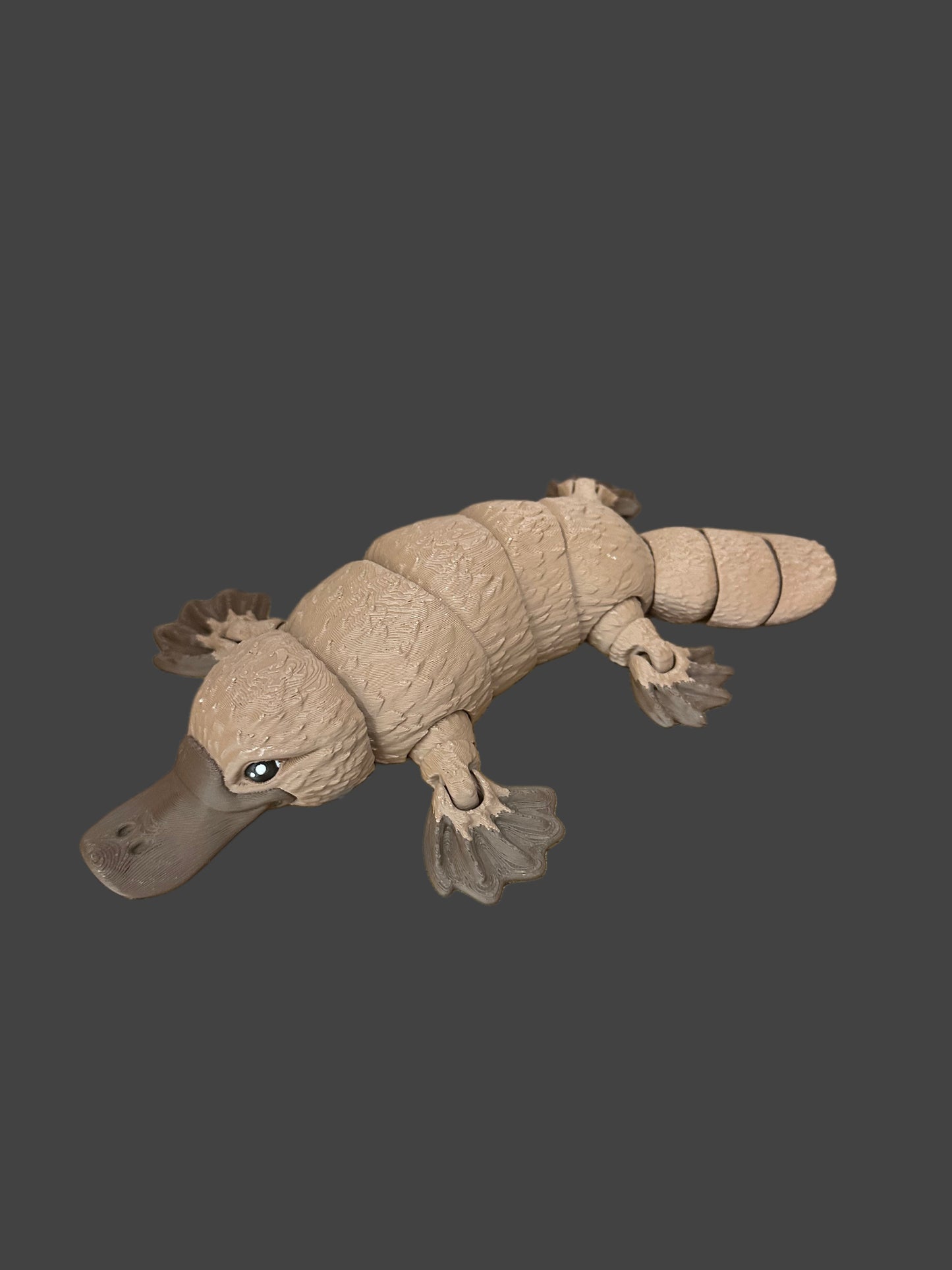 Articulated Platypus