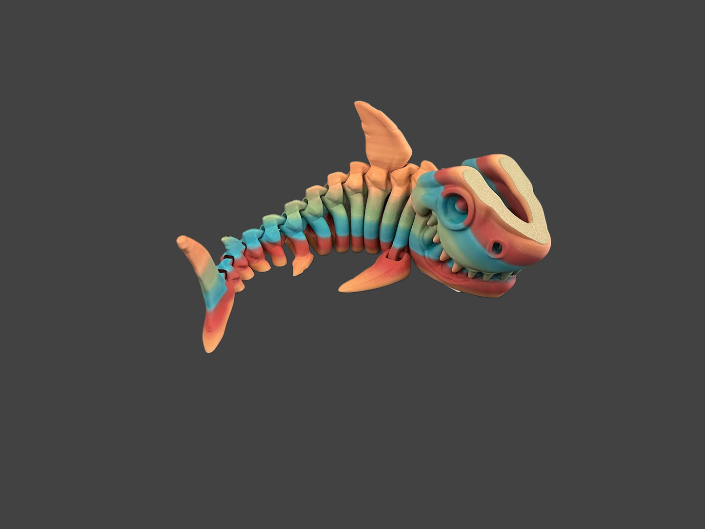 Shark Skeletons