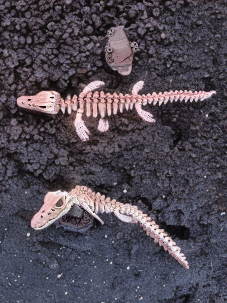 Articulated Skeleton Dinosaurs w/ Bases- Bone Color