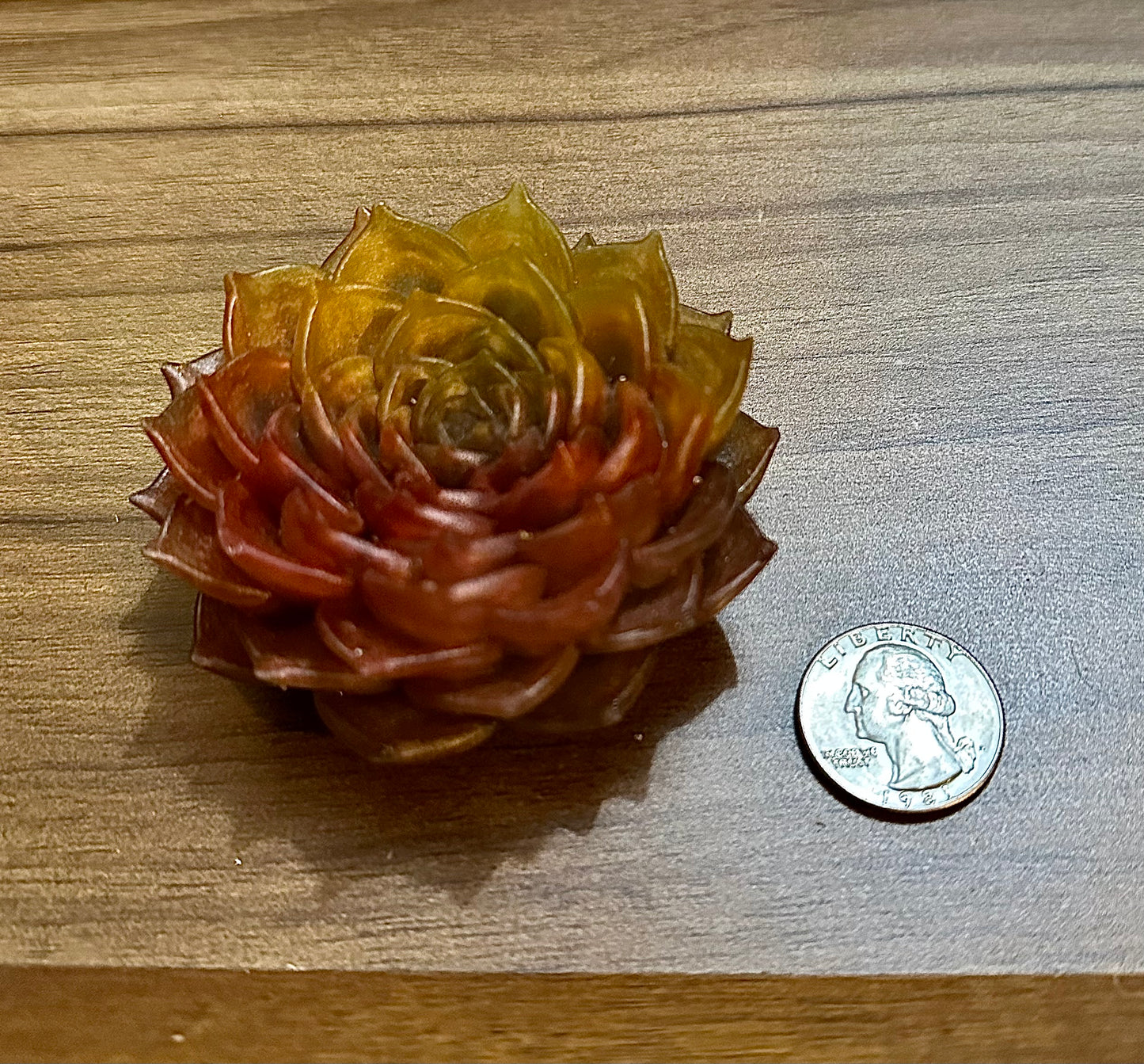 Hand Poured Resin Succulent Flower- Autumn Colors