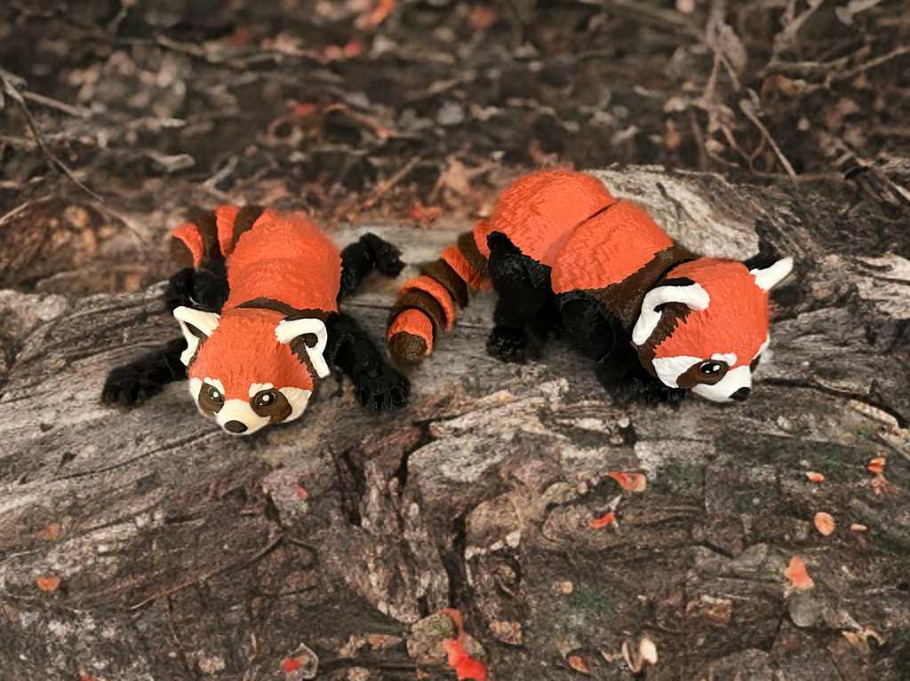 Articulated Red Pandas