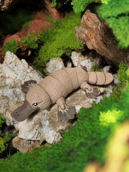 Articulated Platypus