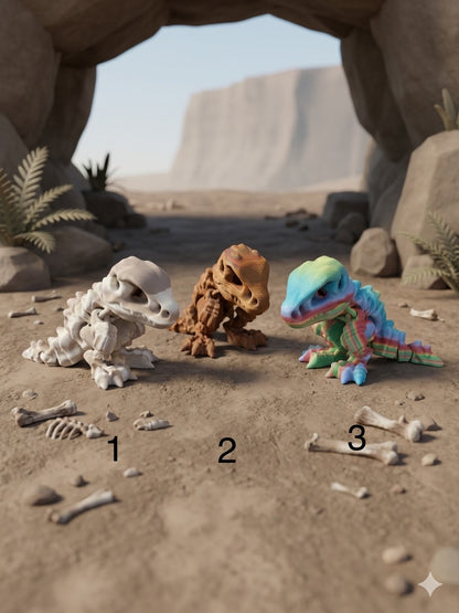 Articulated Small Dino Skeleton