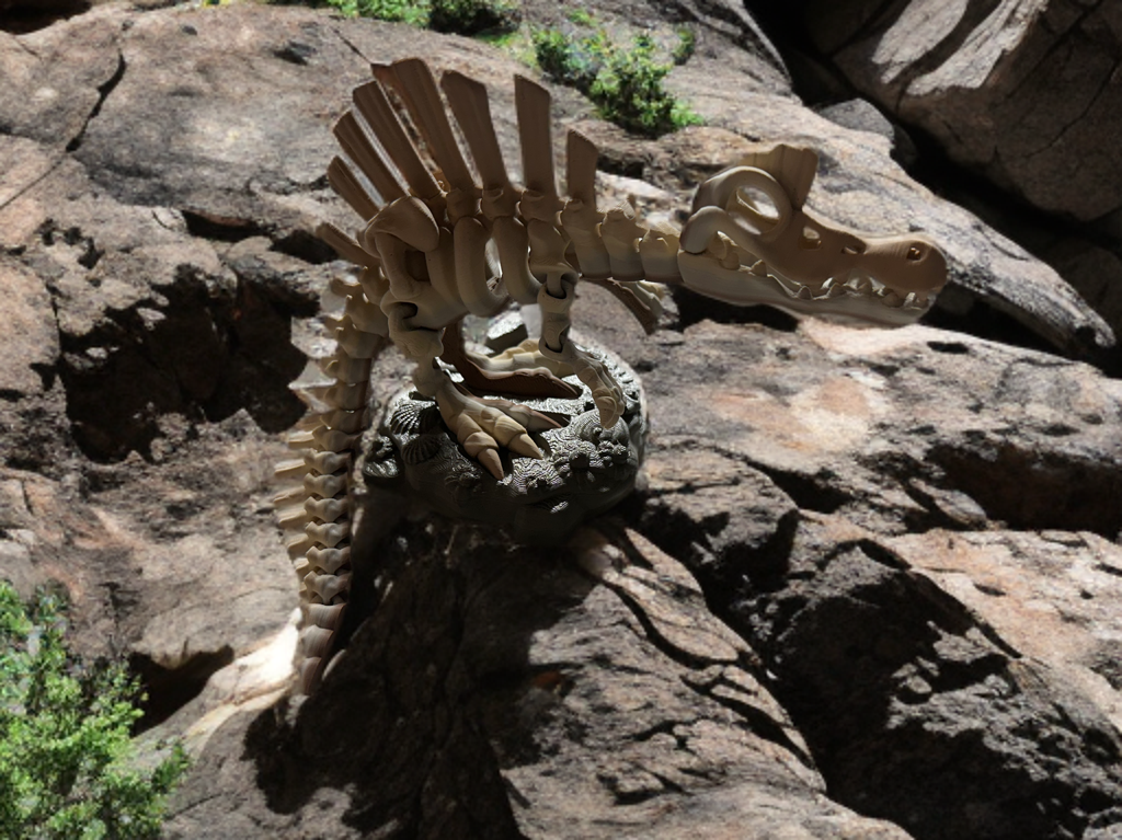 Articulated Skeleton Dinosaurs w/ Bases- Bone Color