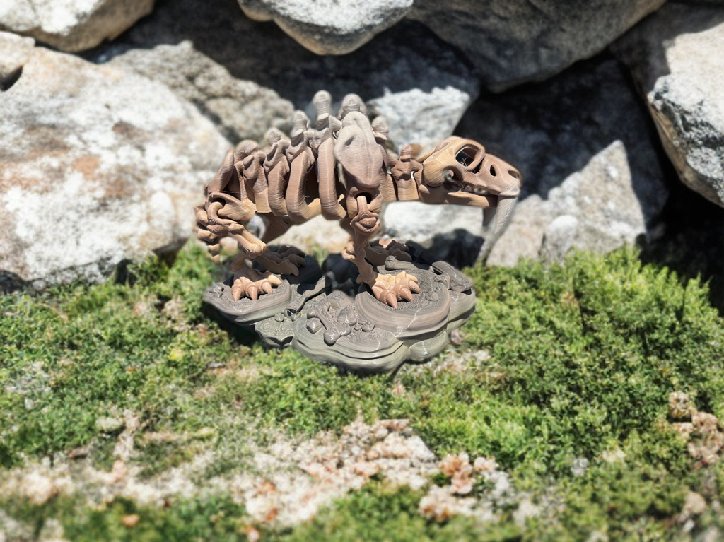 Articulated Skeleton Dinosaurs w/ Bases- Bone Color