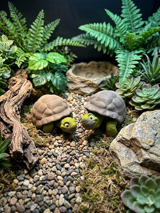 Articulated Tortoise
