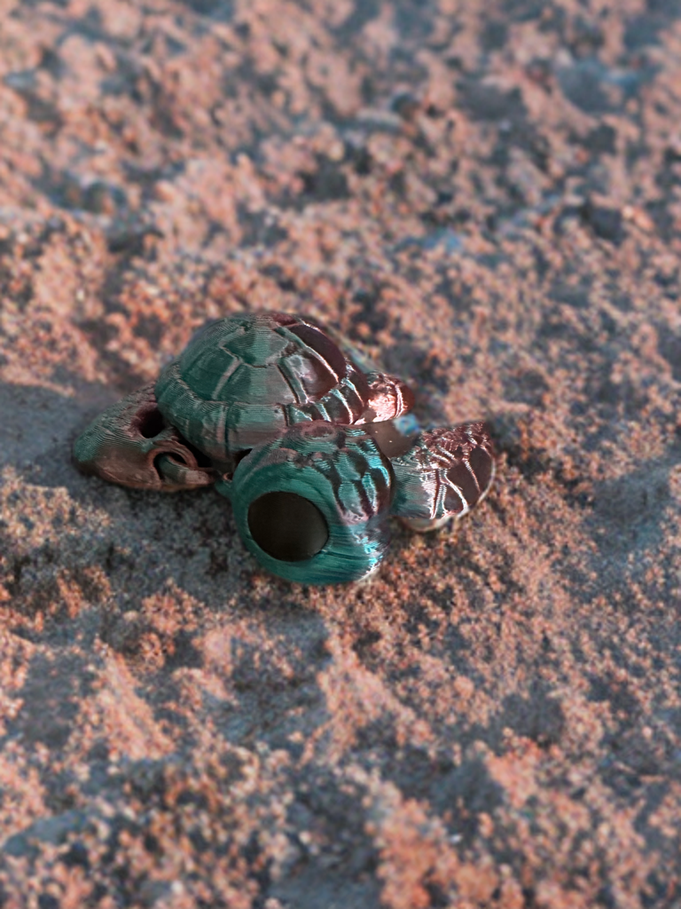Articulated Medium Sea Turtle