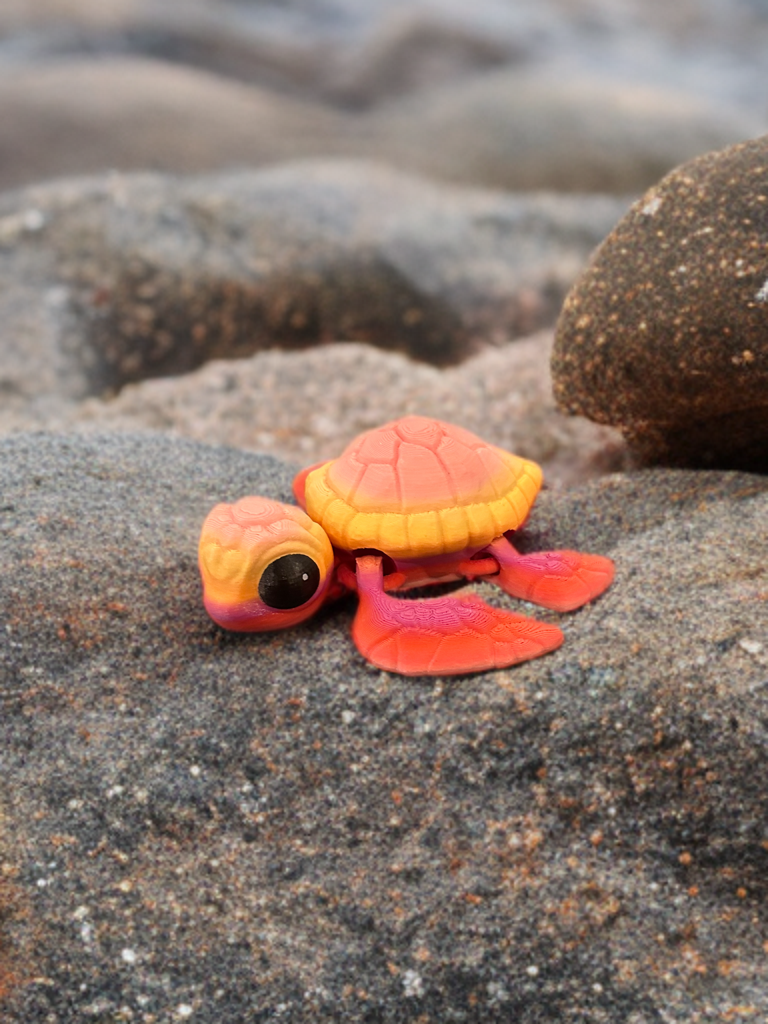 Articulated Medium Sea Turtle