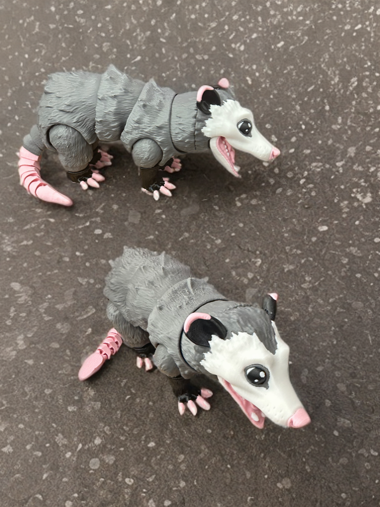 Articulated Opossum