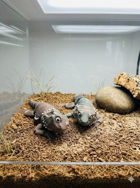 Articulated Bearded Dragon