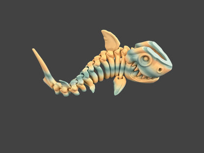 Shark Skeletons