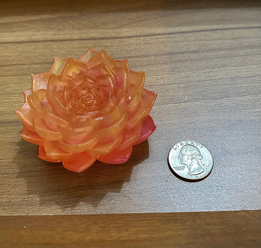 Hand Poured Resin Succulent Flower- Yellow/Pink