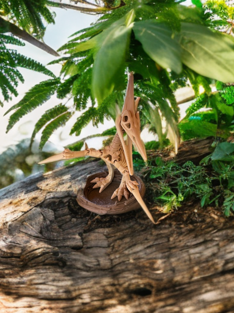 Articulated Skeleton Dinosaurs w/ Bases- Bone Color