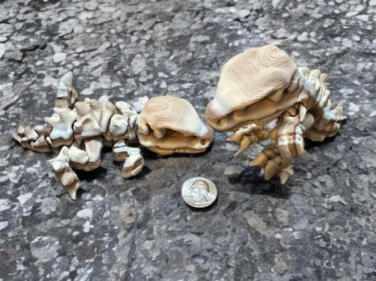 Articulated Medium Dino Skeleton
