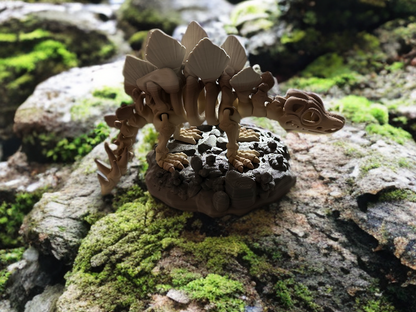 Articulated Skeleton Dinosaurs w/ Bases- Bone Color