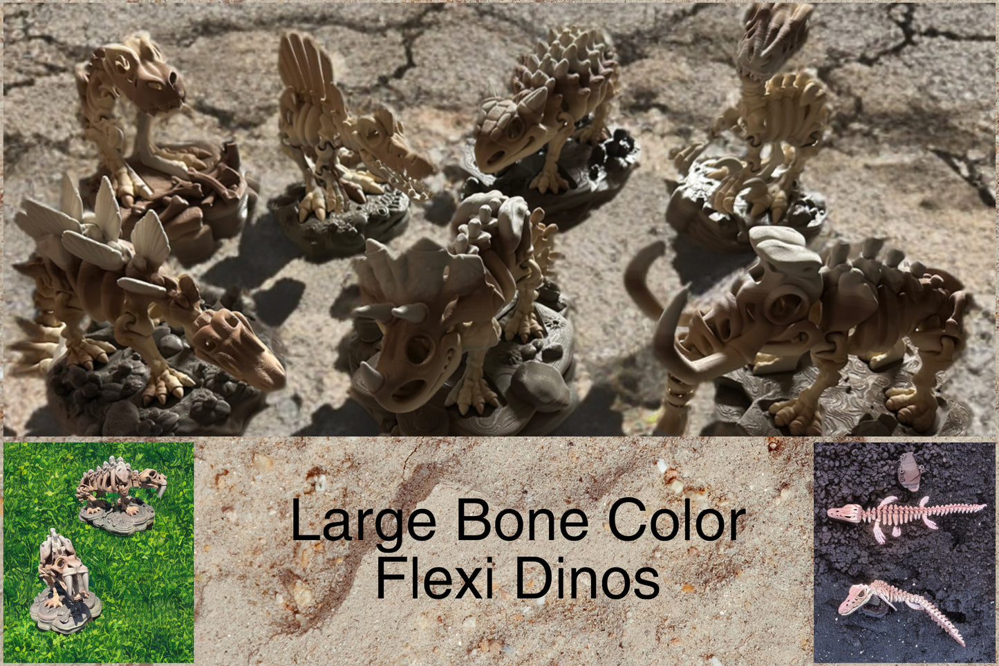 Articulated Skeleton Dinosaurs w/ Bases- Bone Color