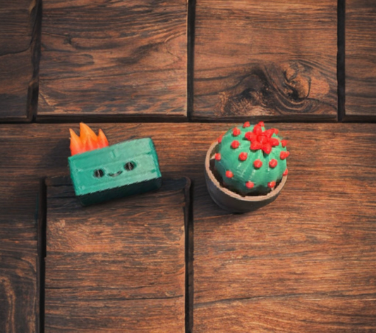 Clicker Keychains- 🌵Nature & Fun 🔥