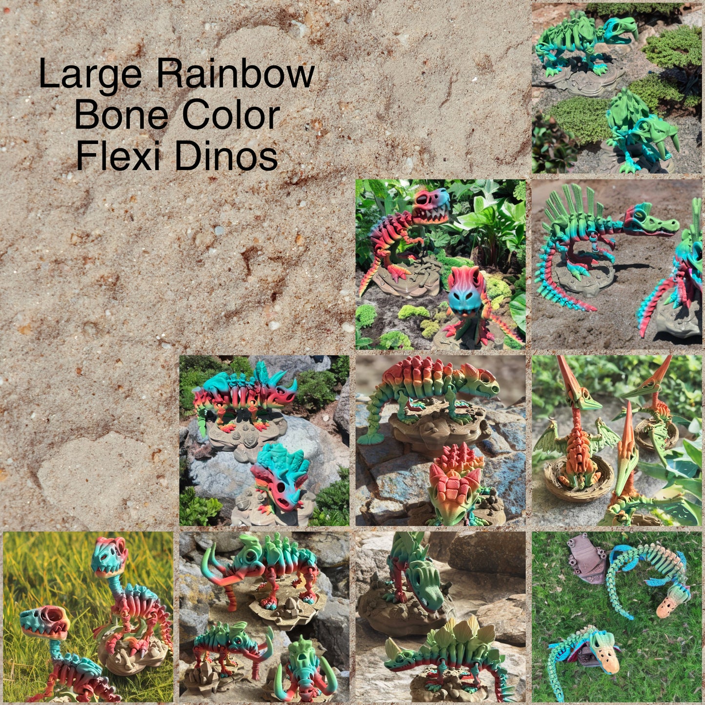 Articulated Skeleton Dinosaurs w/ Bases- Rainbow Rock Color